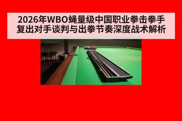 2026年WBO蝇量级中国职业拳击拳手复出对手谈判与出拳节奏深度战术解析